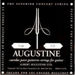 Augustine - Classical Black/Gold ABK-G