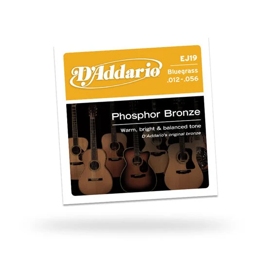 D'Addario - EJ19 12-56 Light Top/Medium Bottom 12-59 Phosphor Bronze