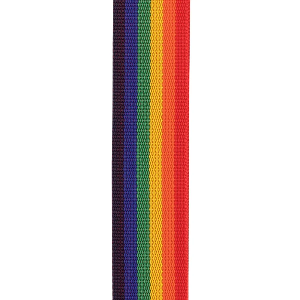 D'Addario Accessories - Auto Lock Polypro Guitar Strap, Rainbow - PWSAL411 - Image 2