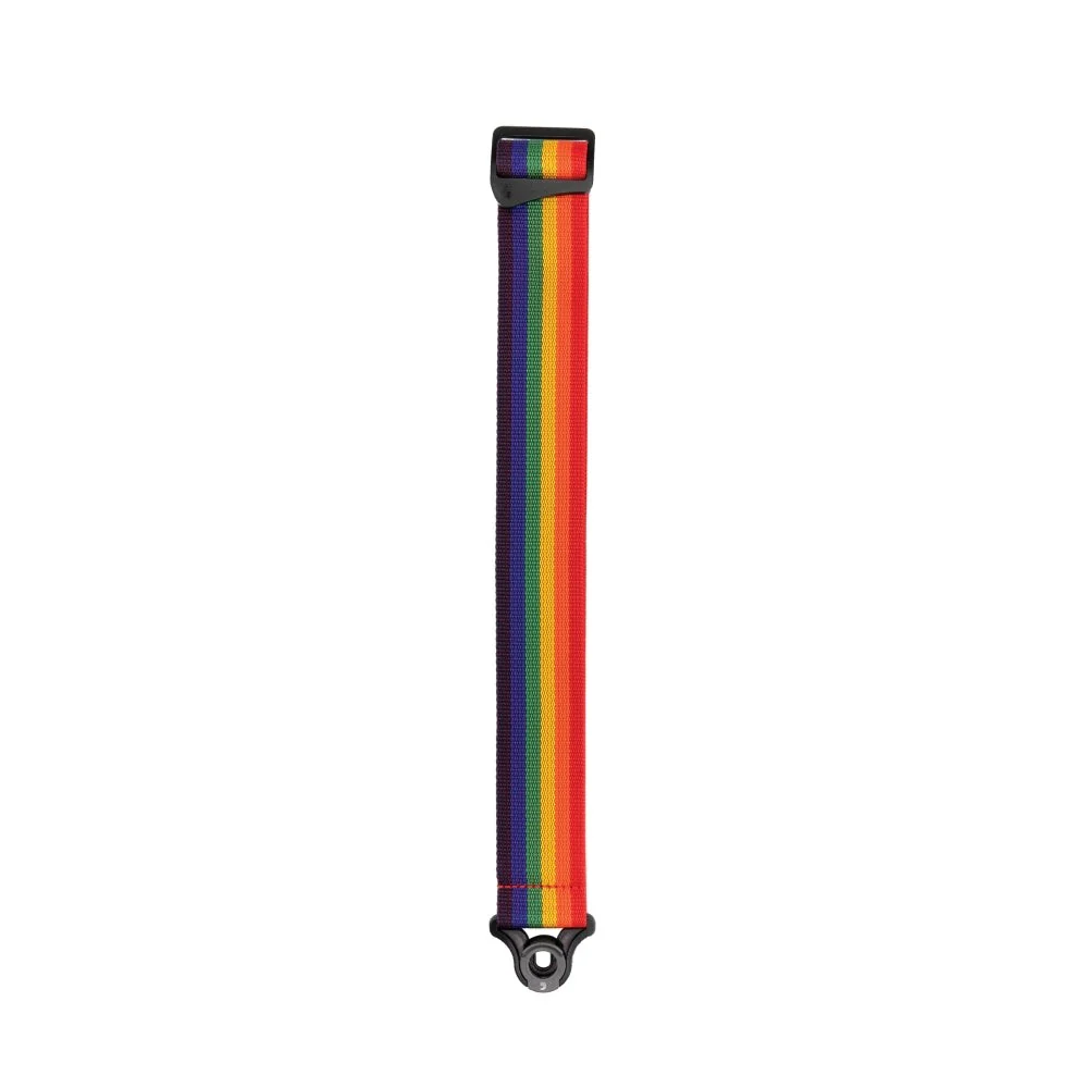 D'Addario Accessories - Auto Lock Polypro Guitar Strap, Rainbow - PWSAL411 - Image 3