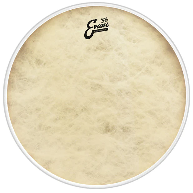 Evans - Calftone BD22CT 22”