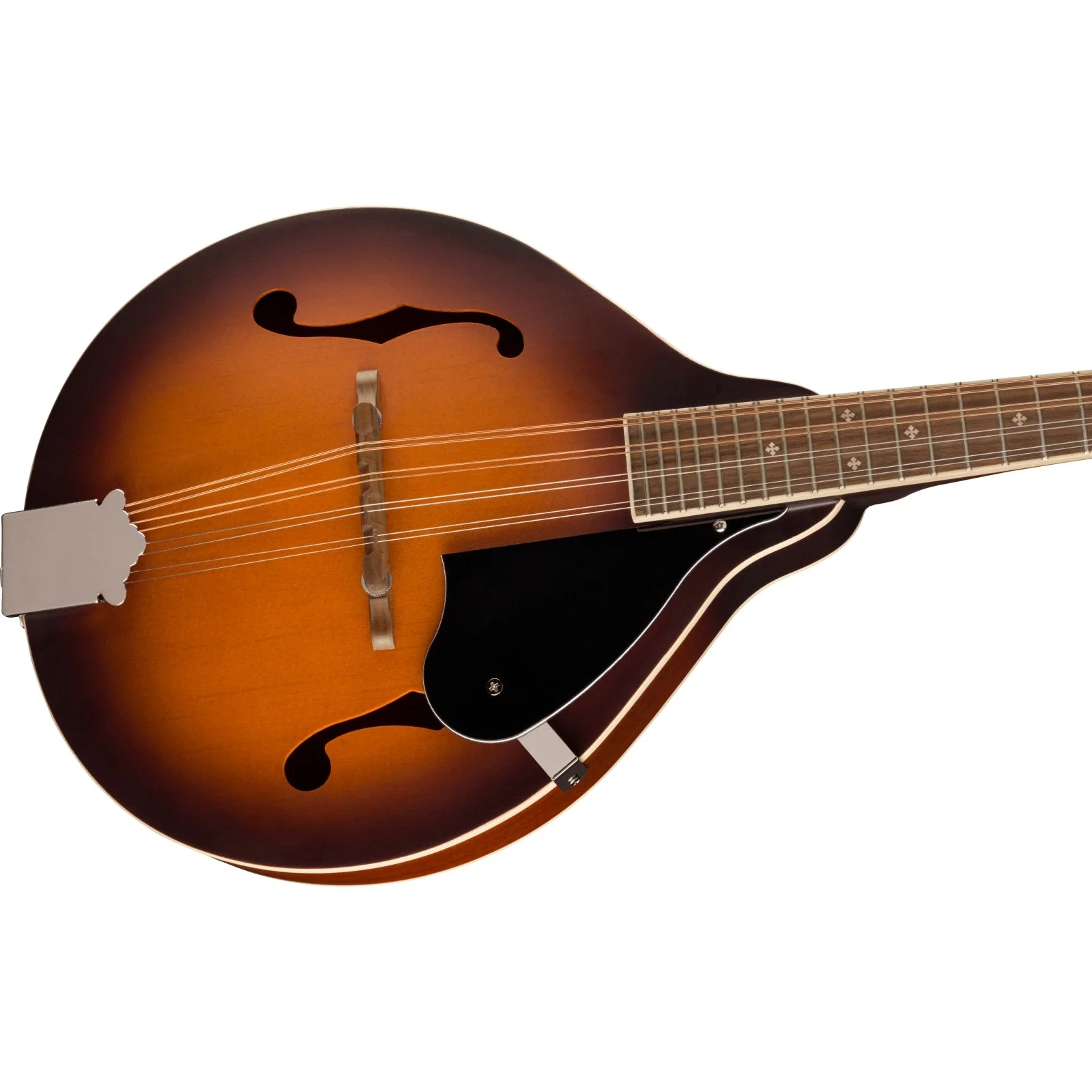 Fender - PM-180E Mandolin - Walnut Fingerboard - Aged Cognac Burst 097-0382-337