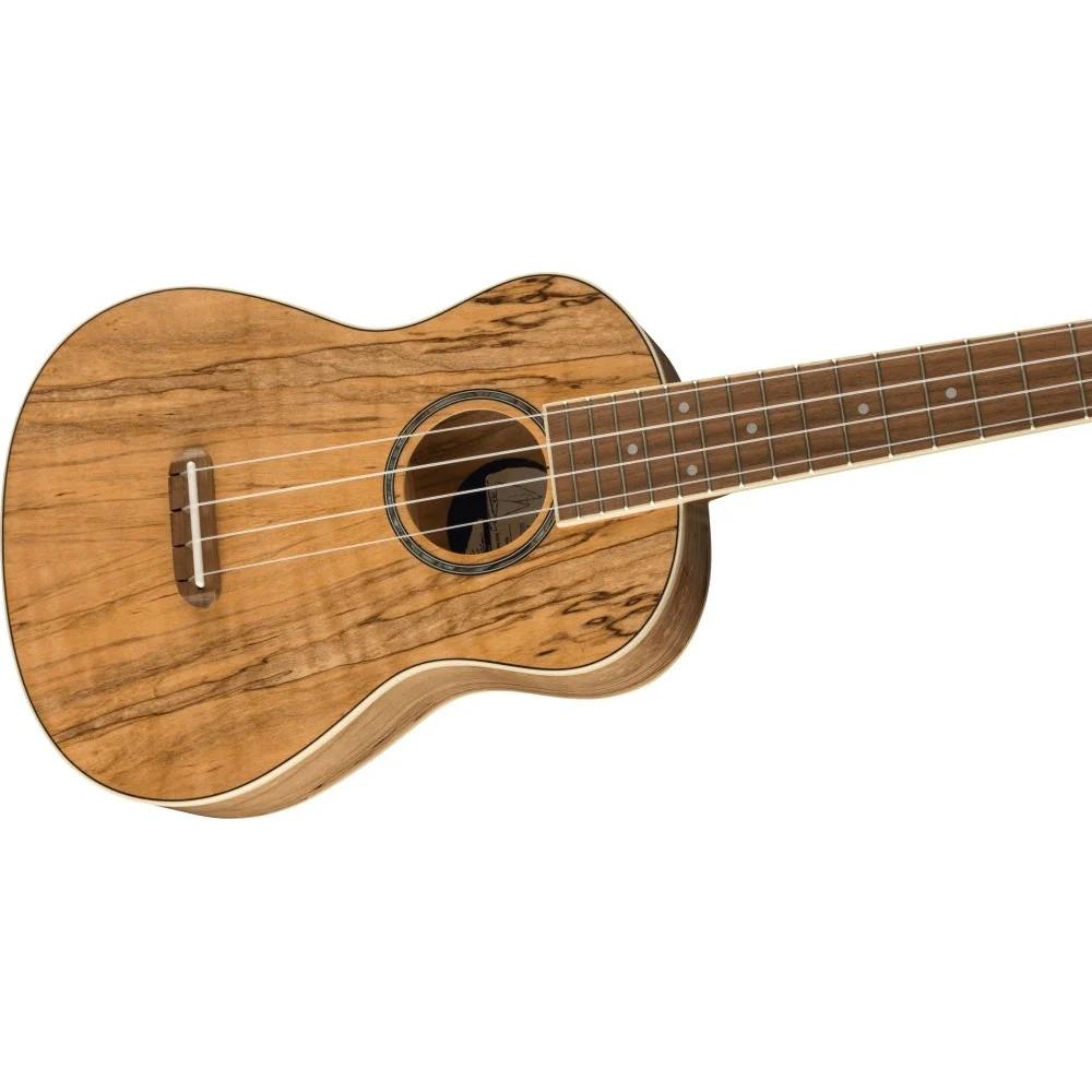 Fender - Zuma Exotic Concert Ukulele - Walnut Fingerboard - Spalted Maple 097-0450-594 - Image 3
