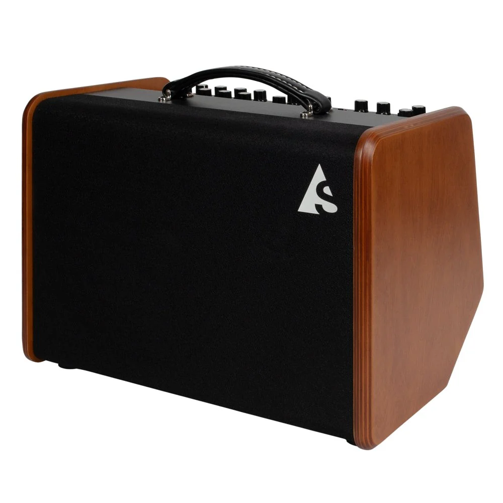 Godin - Godin Acoustic Solutions ASG-8 Wood 120 050154 - Image 2