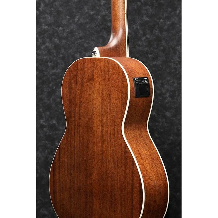 Ibanez - PNB14E  - OPN : Open Pore Natural - Image 2