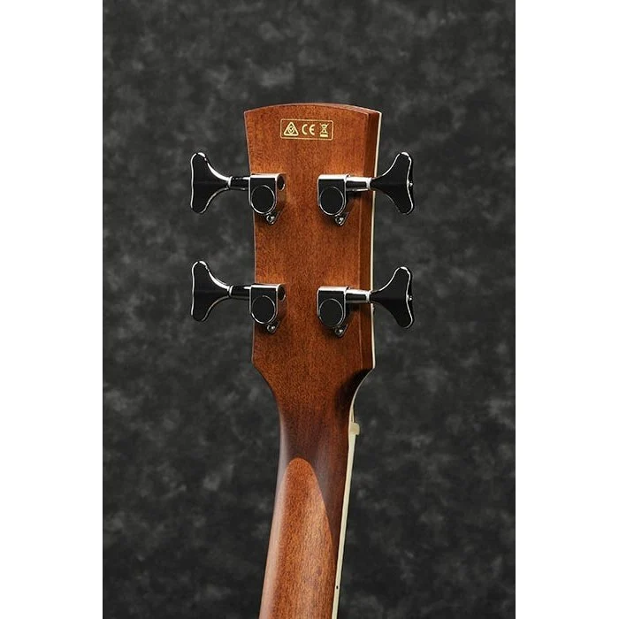 Ibanez - PNB14E  - OPN : Open Pore Natural - Image 3