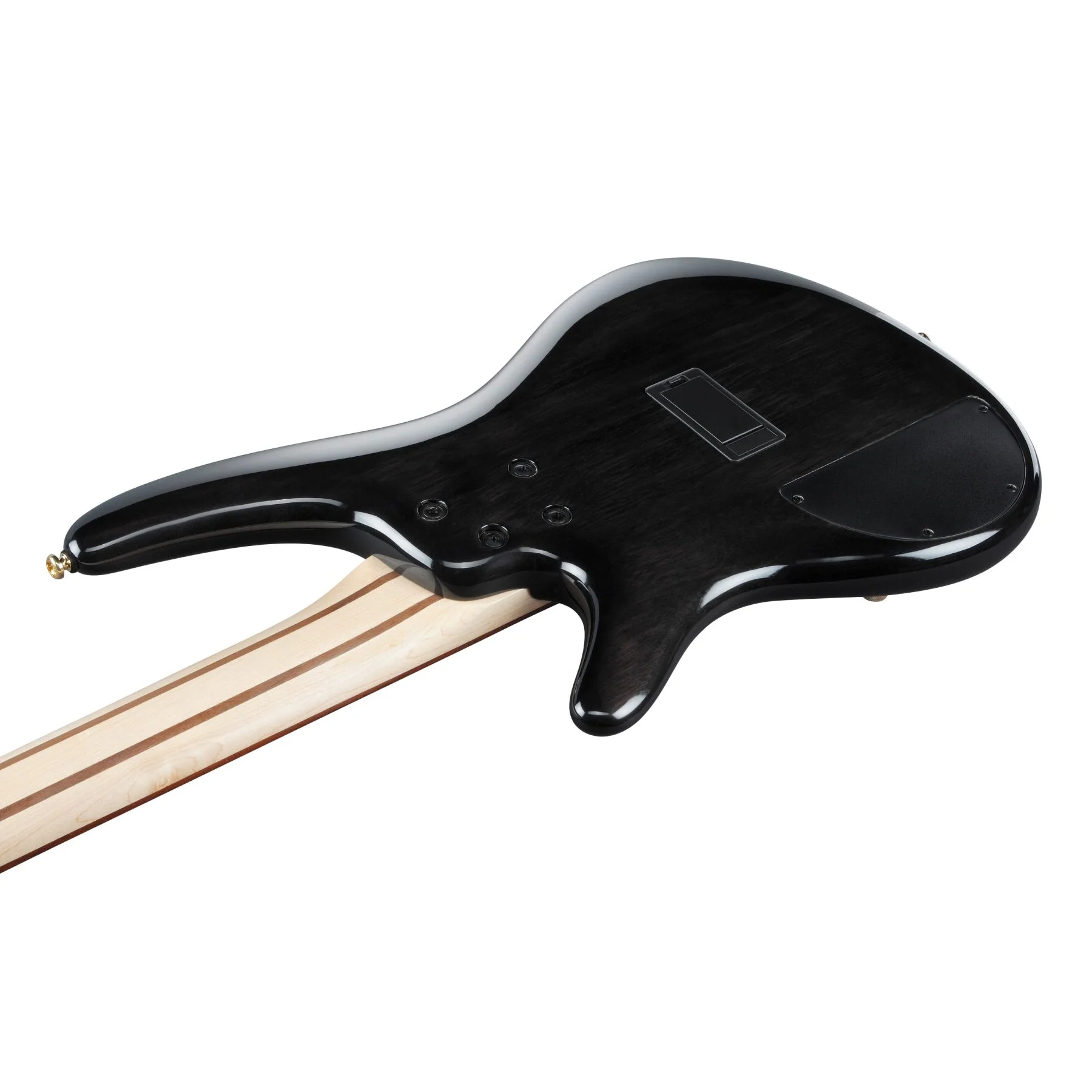 Ibanez - SR Standard 5str Electric Bass - Tropical Seafloor Burst - SR405EPBDXTSU - Image 4