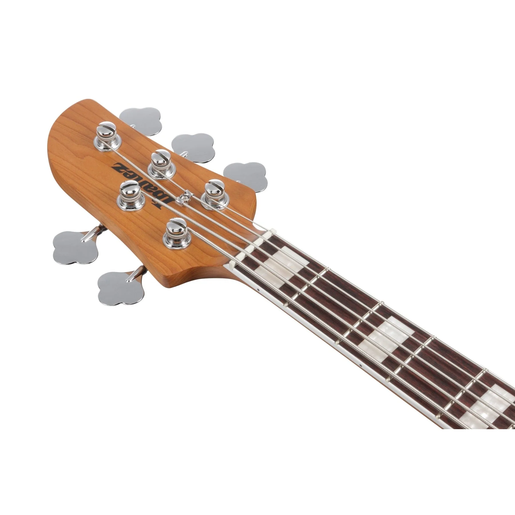 Ibanez - Talman Bass Standard 5str Electric Bass - Cosmic Blue Starburst - TMB405TACBS - Image 5
