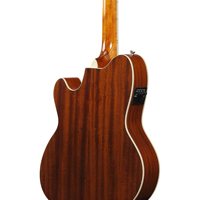 Ibanez - Talman Series TCY10E IVH - Image 3
