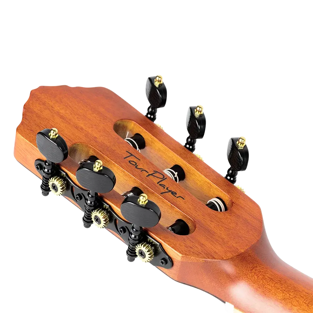 Ortega - Full-Size Guitar Solid Okoume / Flamed Maple Blue - RTPDLX-FMA - Image 6