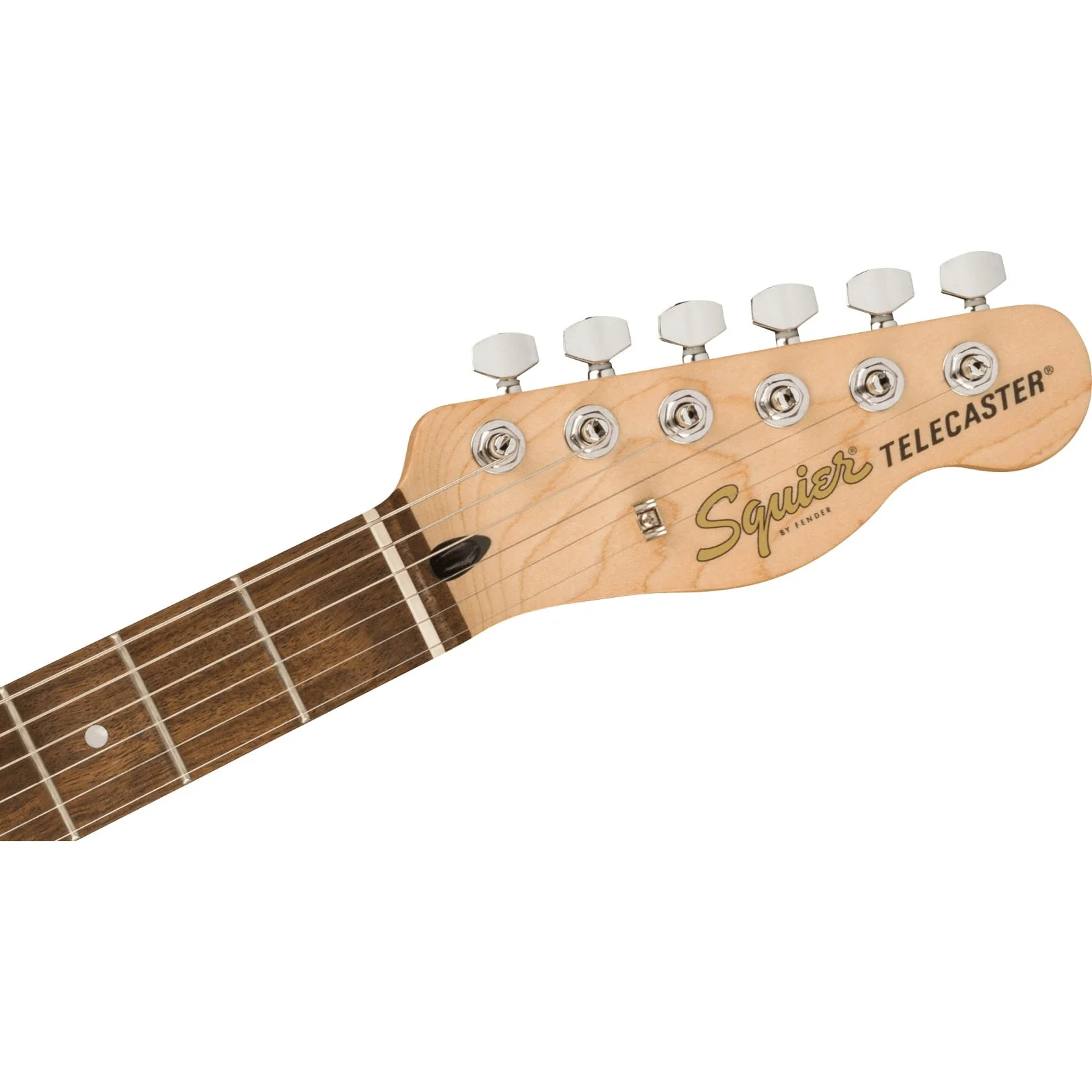 Squier - Affinity Series™ Telecaster® - Laurel Fingerboard - White Pickguard - Olympic White 037-8200-505 - Image 5