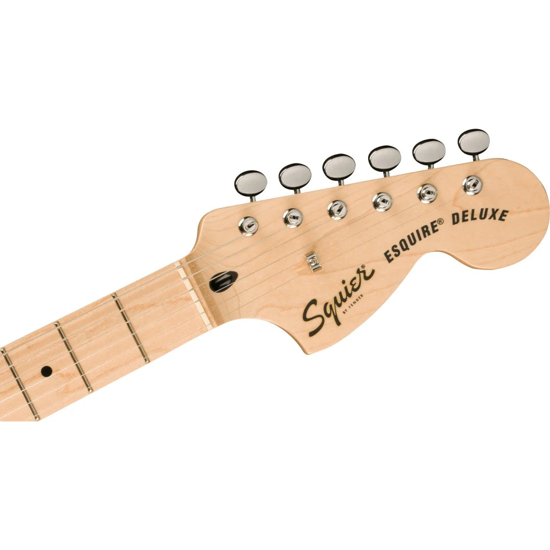 Squier - Paranormal Esquire® Deluxe, Maple Fingerboard, Black Pickguard, Metallic Black 037-7045-565 - Image 5