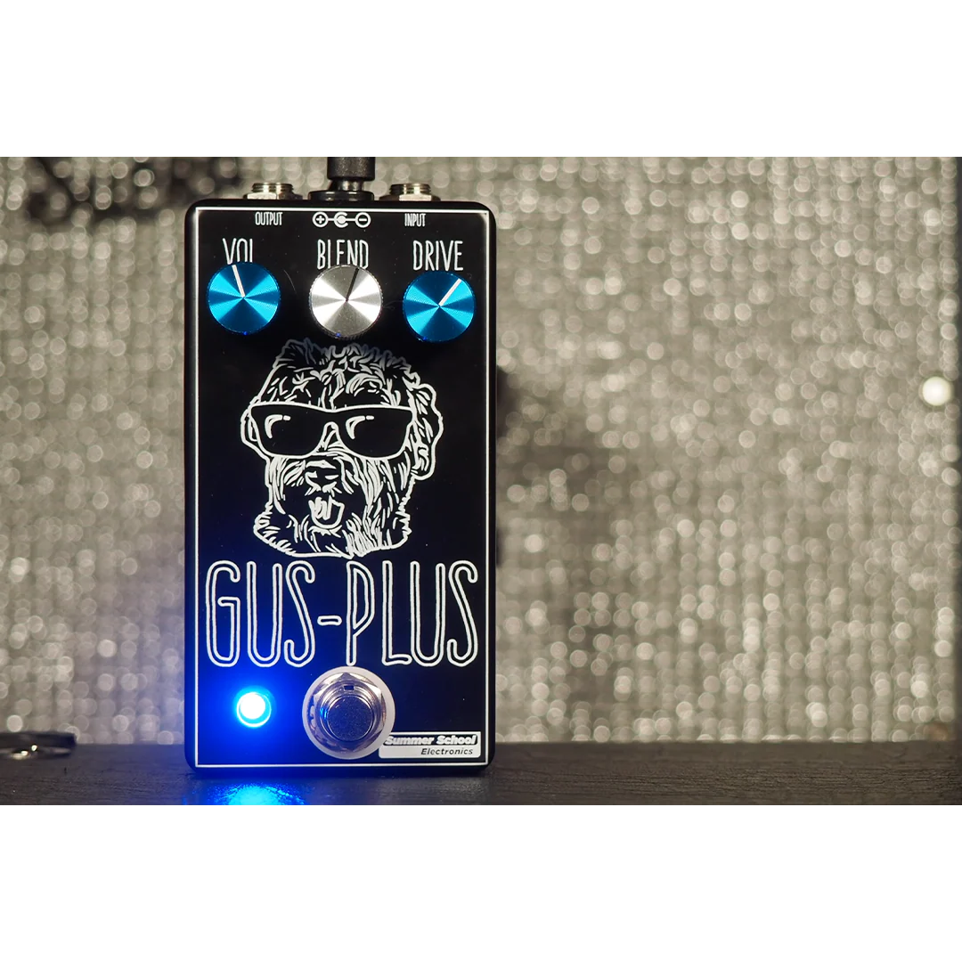 Summer School Electronics - Gus-Plus
