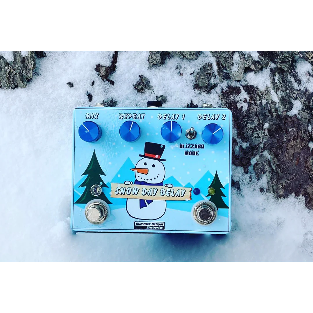 Summer School Electronics - Snow Day Delay