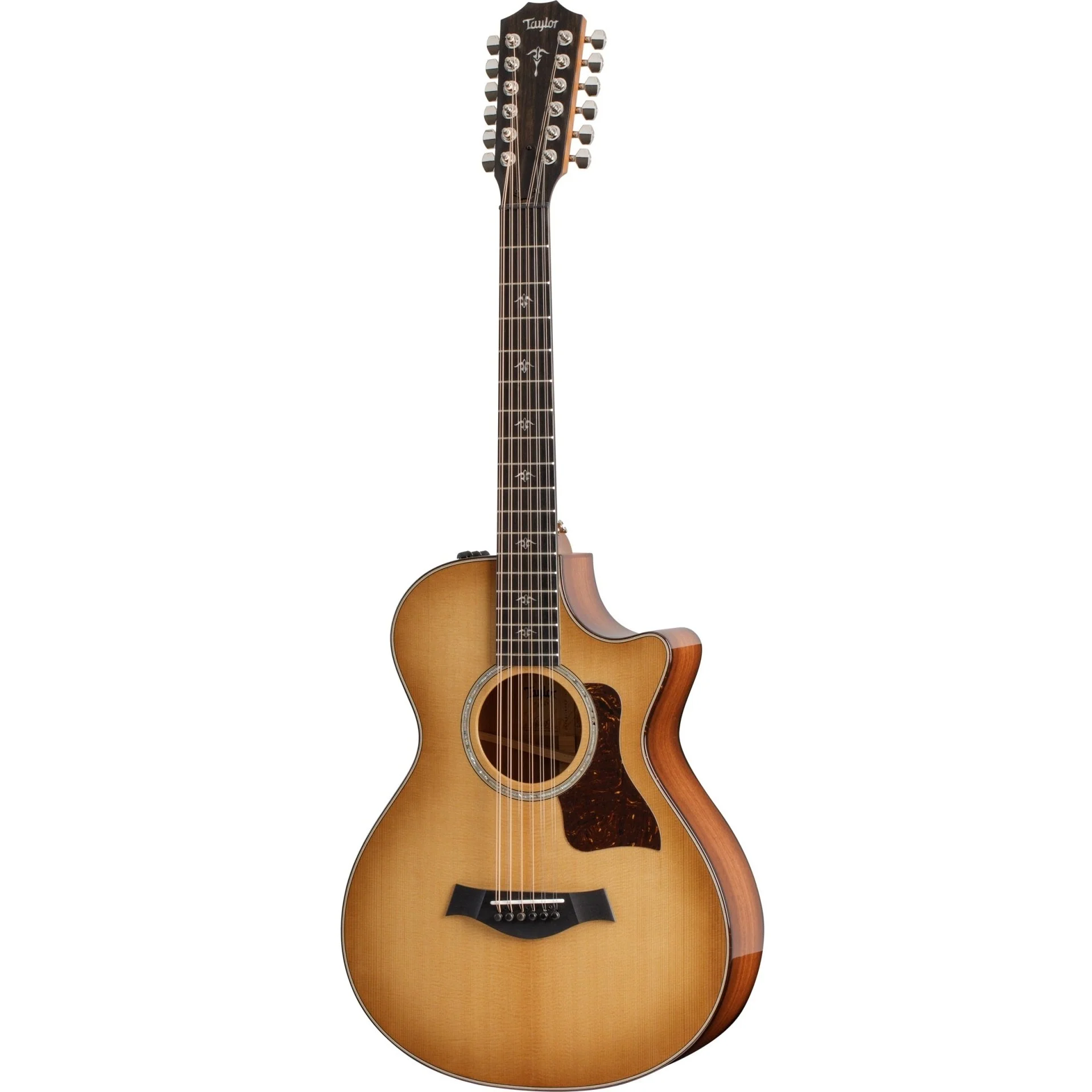 Taylor - 552ce