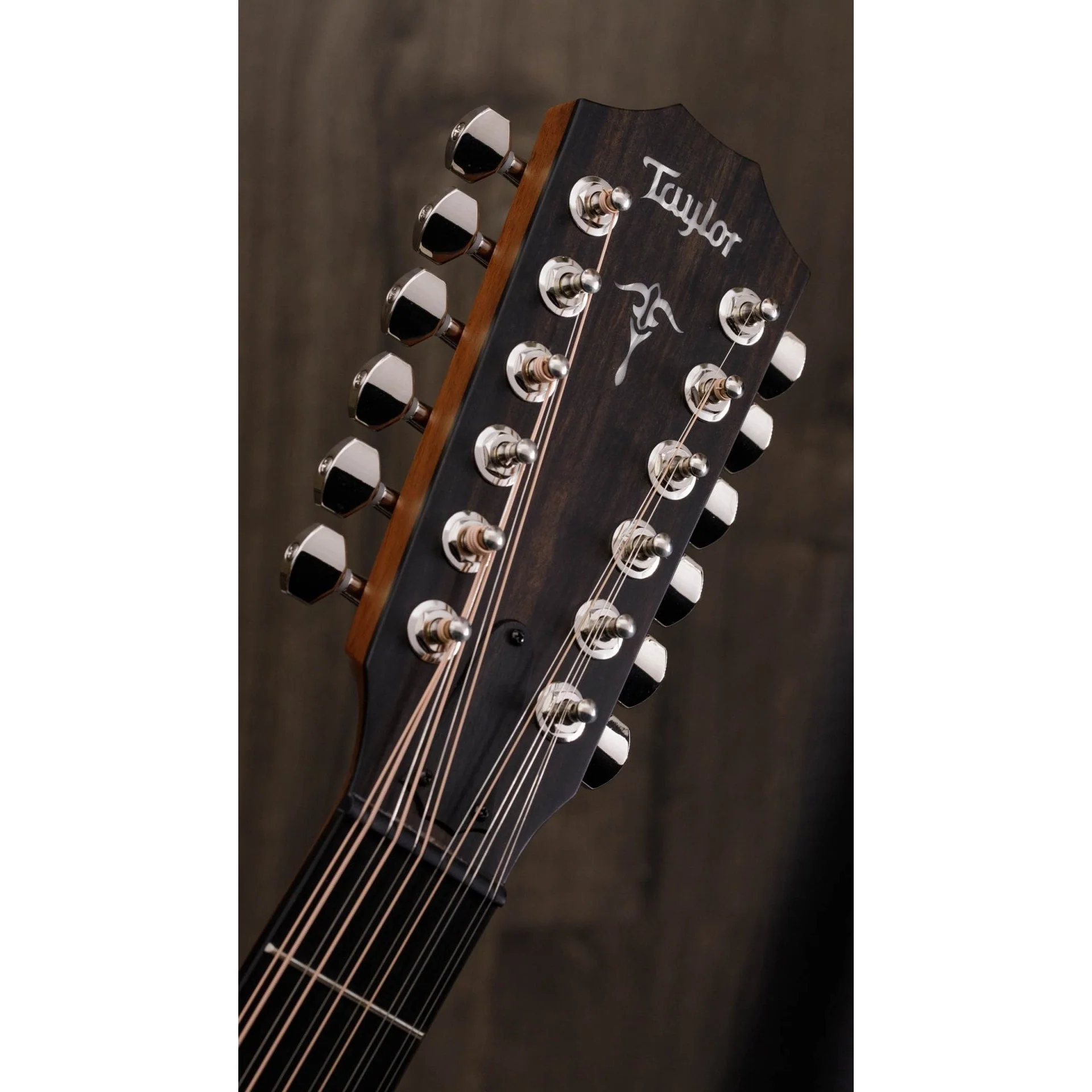 Taylor - 552ce - Image 4