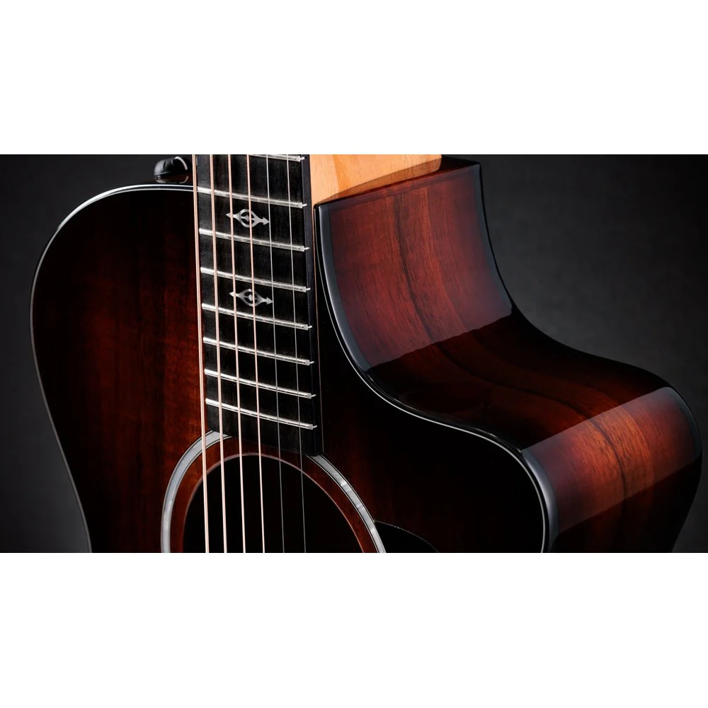 Taylor Guitars - 222ce-K DLX - Image 3