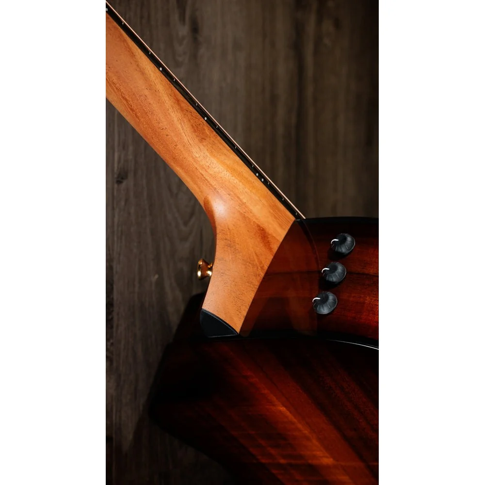 Taylor Guitars - 222ce-K DLX - Image 4