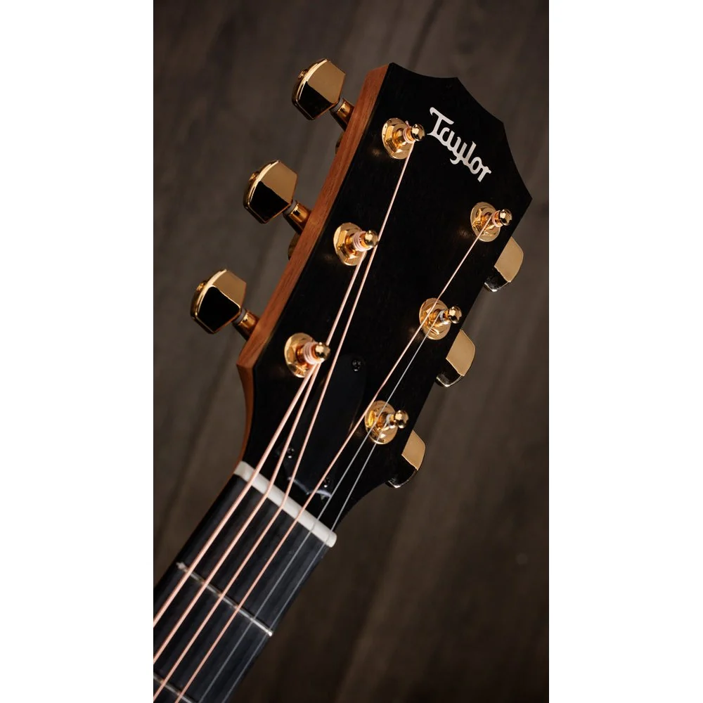 Taylor Guitars - 222ce-K DLX - Image 5