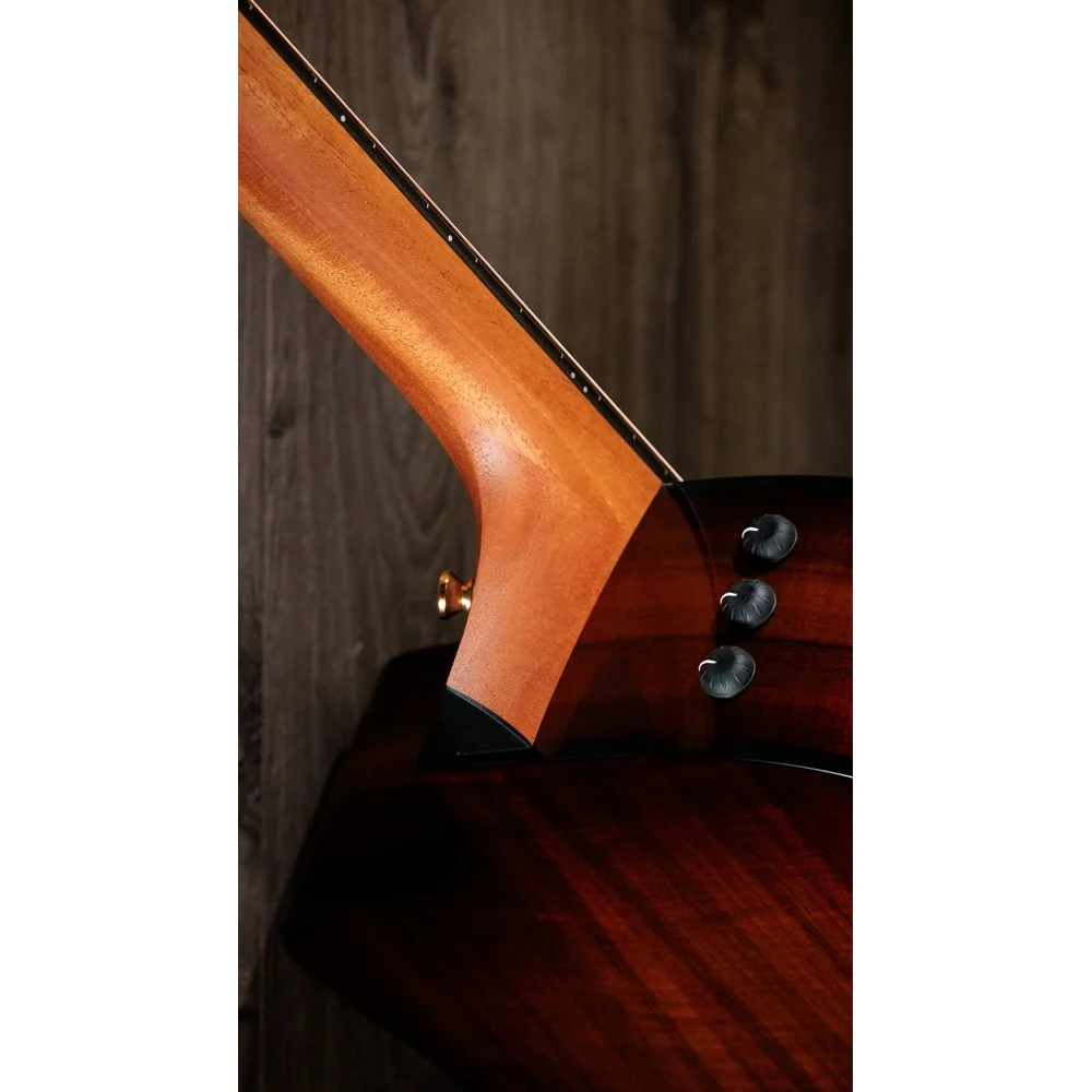 Taylor Guitars - 224ce-K DLX  - 2024 - Image 4