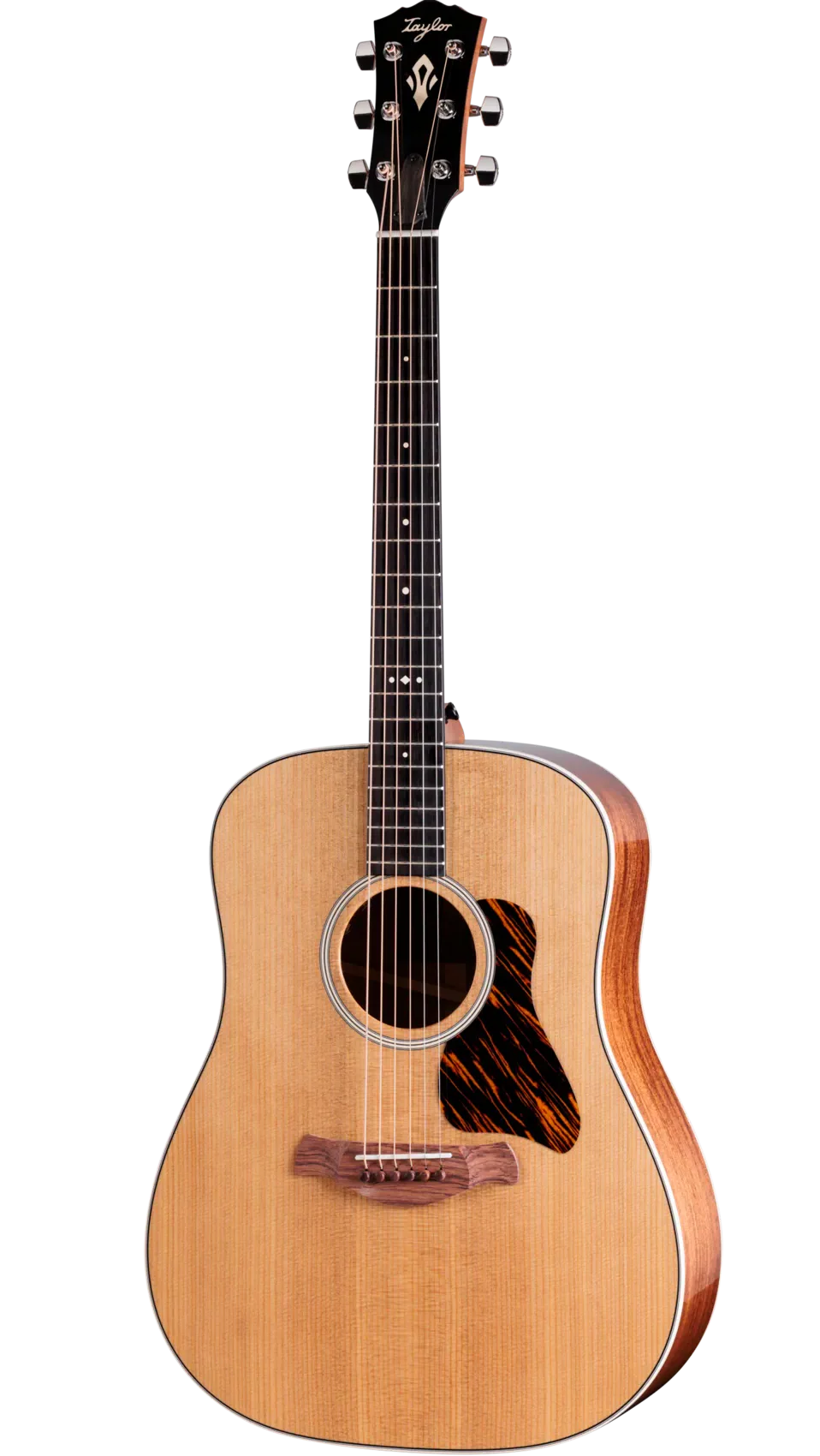 Taylor Guitars - Gold Label 510e Acoustic Guitar
