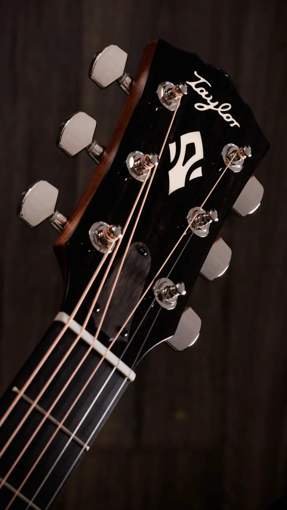 Taylor Guitars - Gold Label 510e Acoustic Guitar - Image 4