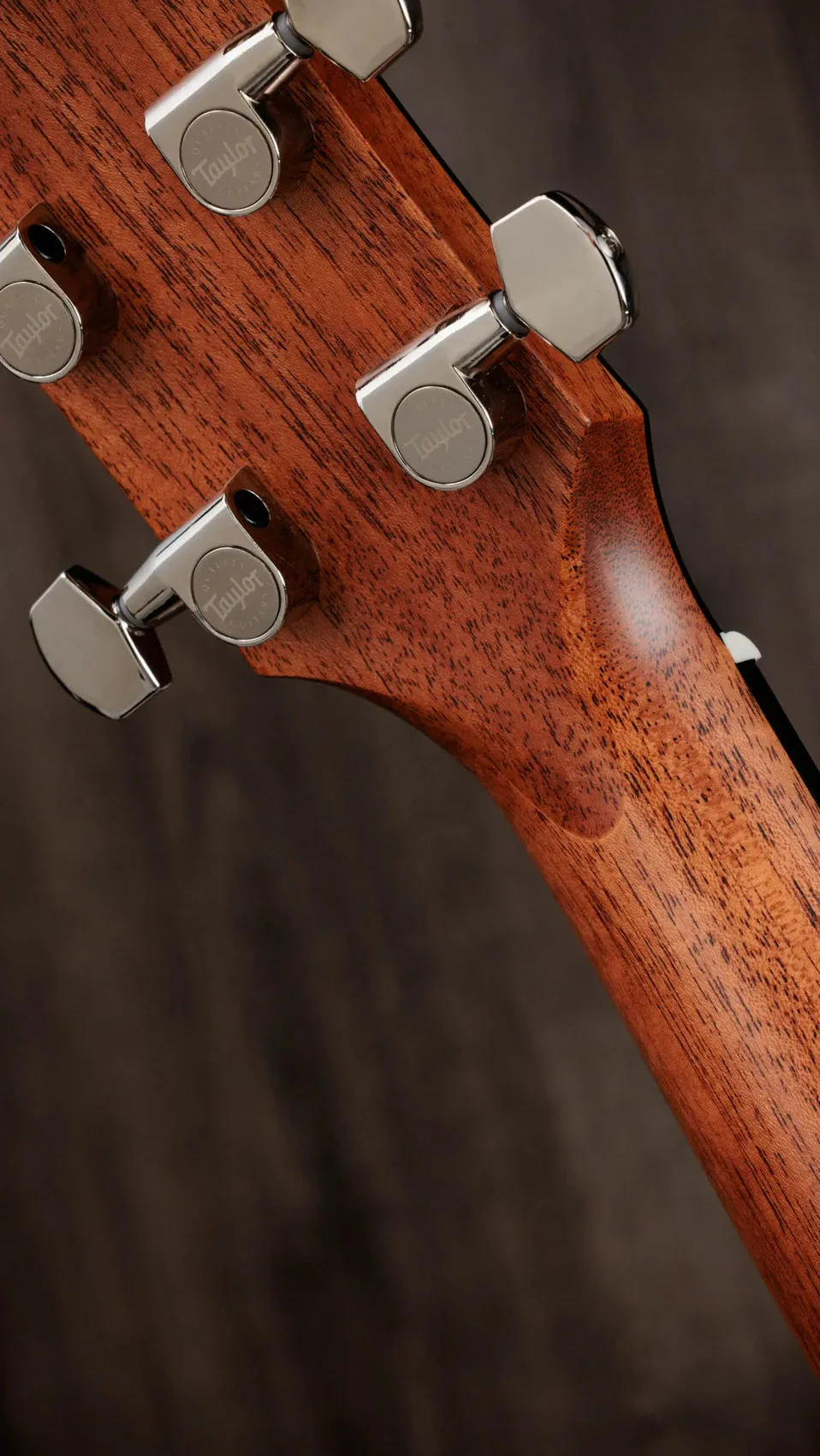 Taylor Guitars - Gold Label 510e Acoustic Guitar - Image 5