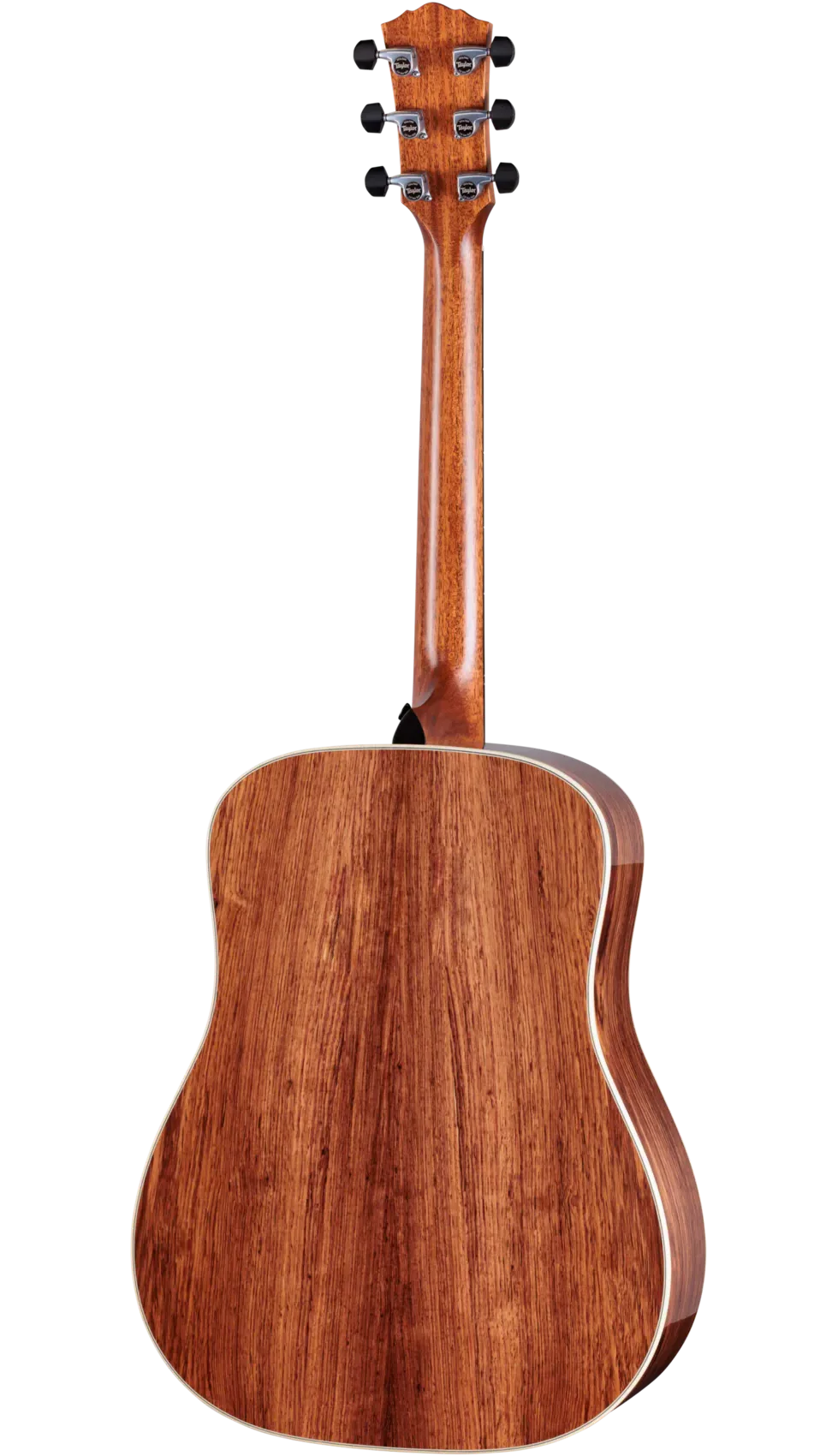 Taylor Guitars - Gold Label 810e Acoustic Guitar - Image 2