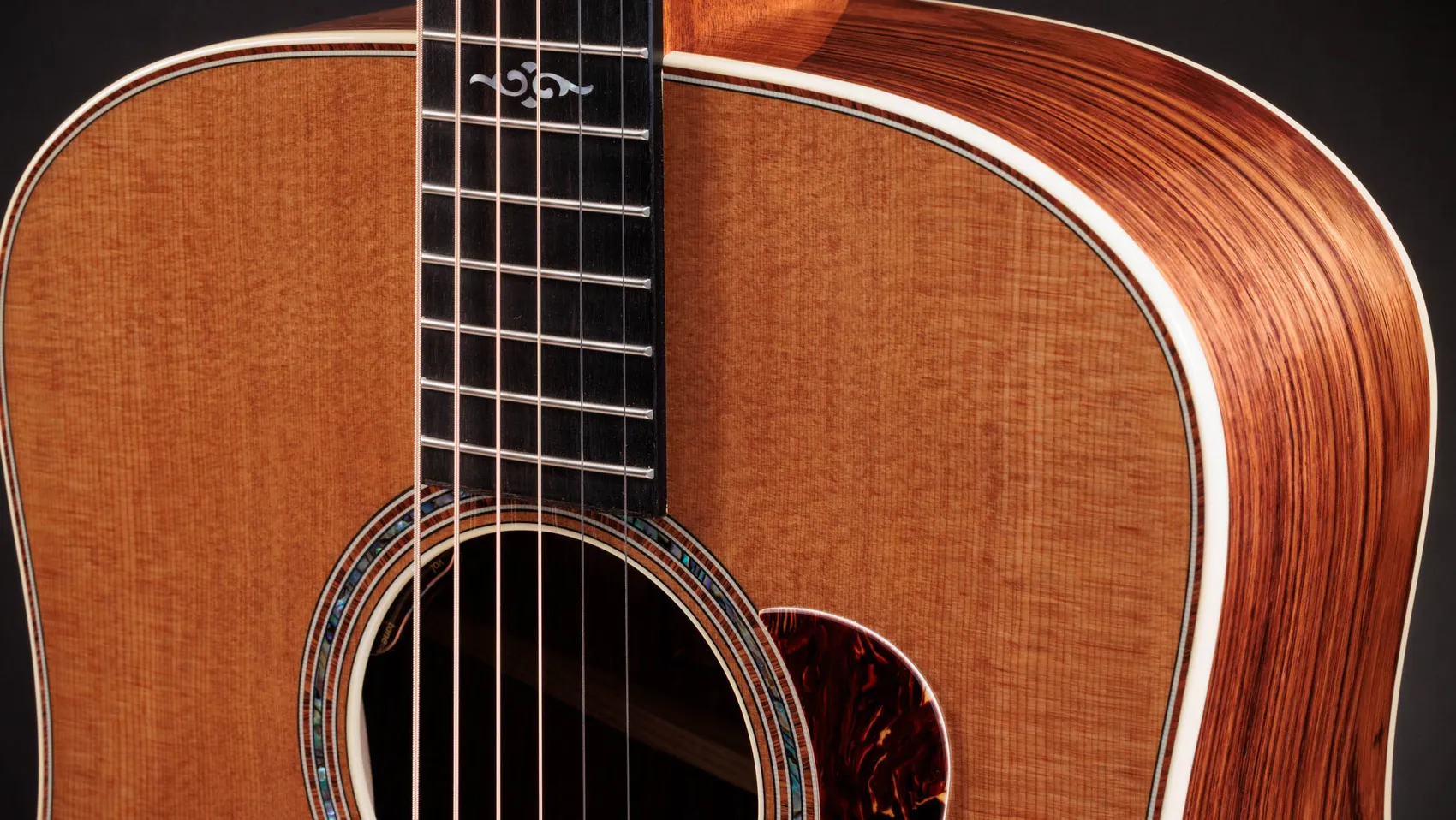 Taylor Guitars - Gold Label 810e Acoustic Guitar - Image 3