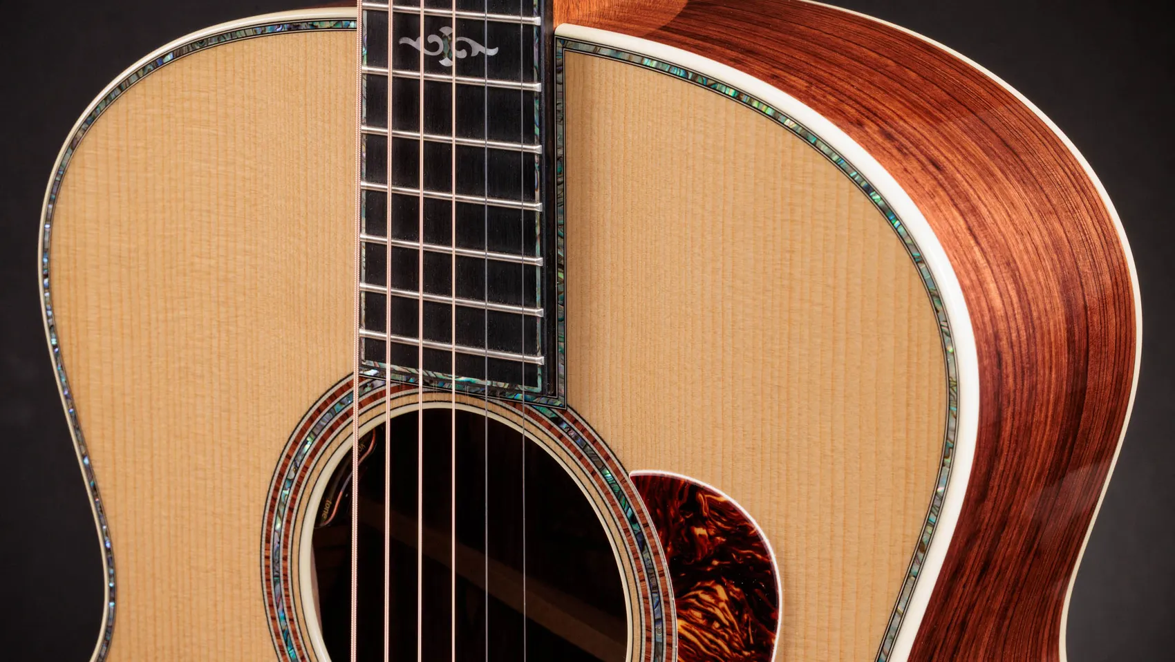 Taylor Guitars - Gold Label 914e Acoustic Guitar - Image 3