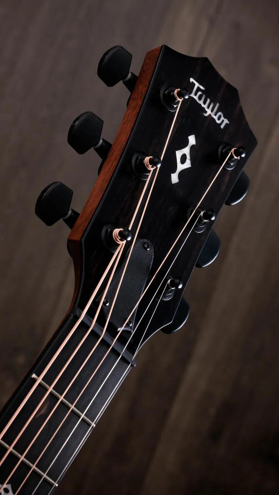 Taylor Guitars - Next Generation 324ce Acoustic Guitar - Image 4