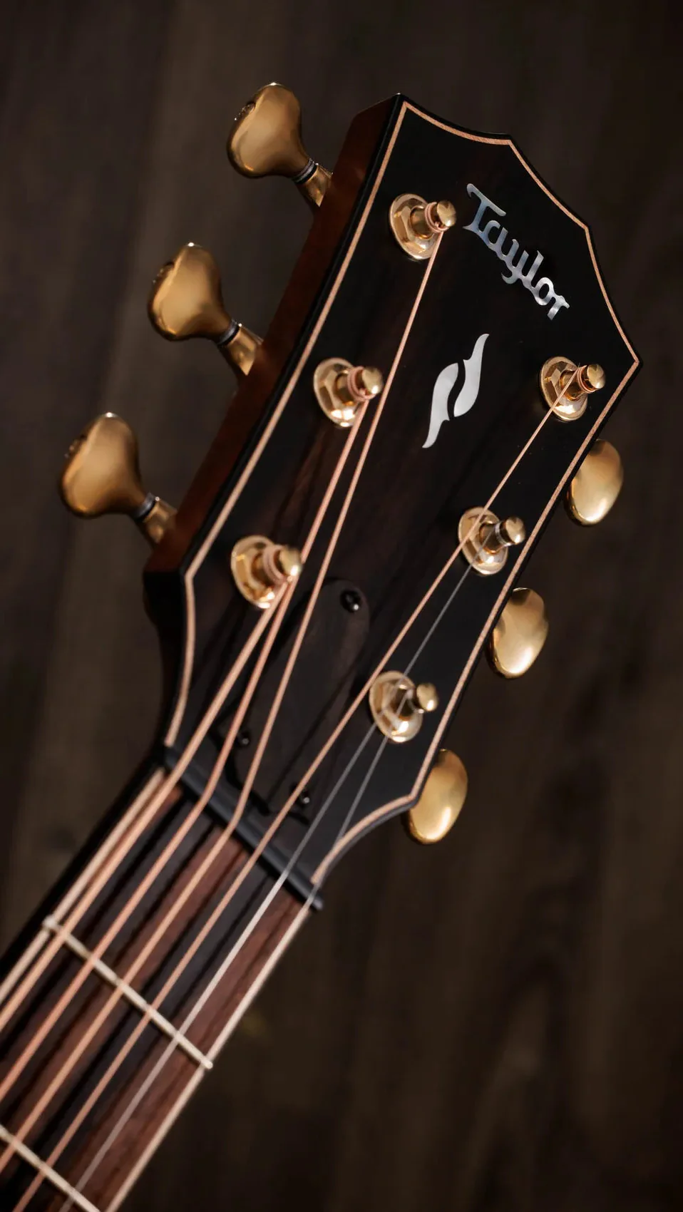 Taylor Guitars - Next Generation Builder's Edition 814ce Acoustic Guitar - Indian Rosewood / Adirondack Spruce - Image 4