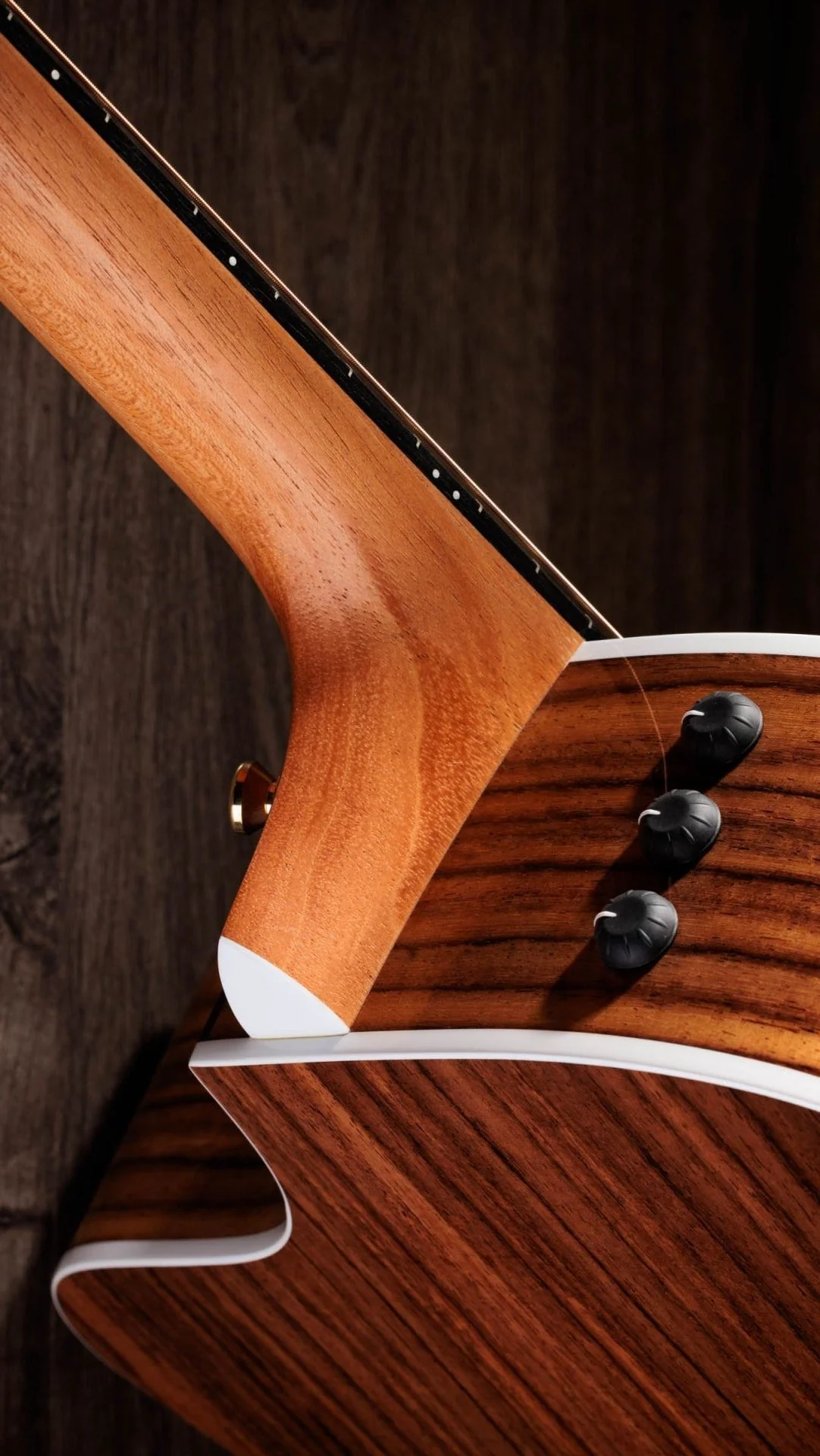 Taylor Guitars - Sunset Blvd 214ce DLX SEB - Image 4