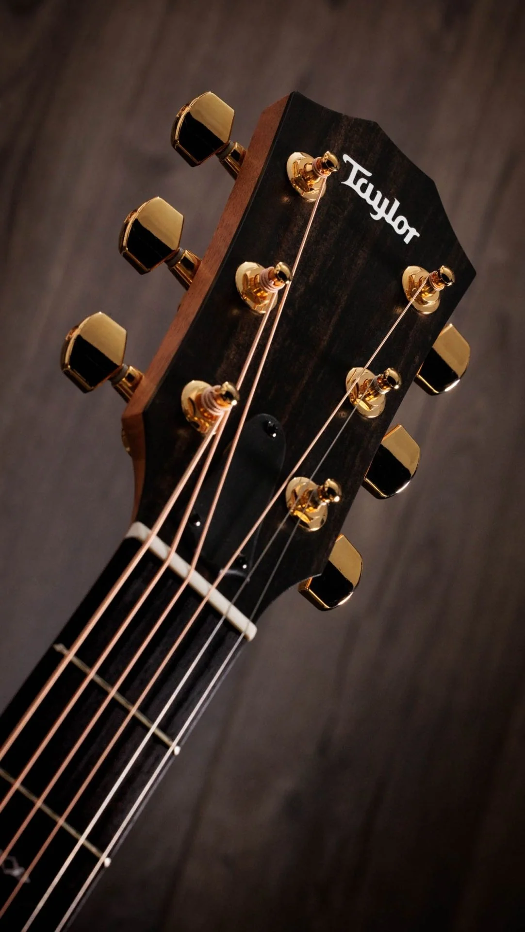 Taylor Guitars - Sunset Blvd 214ce DLX SEB - Image 5