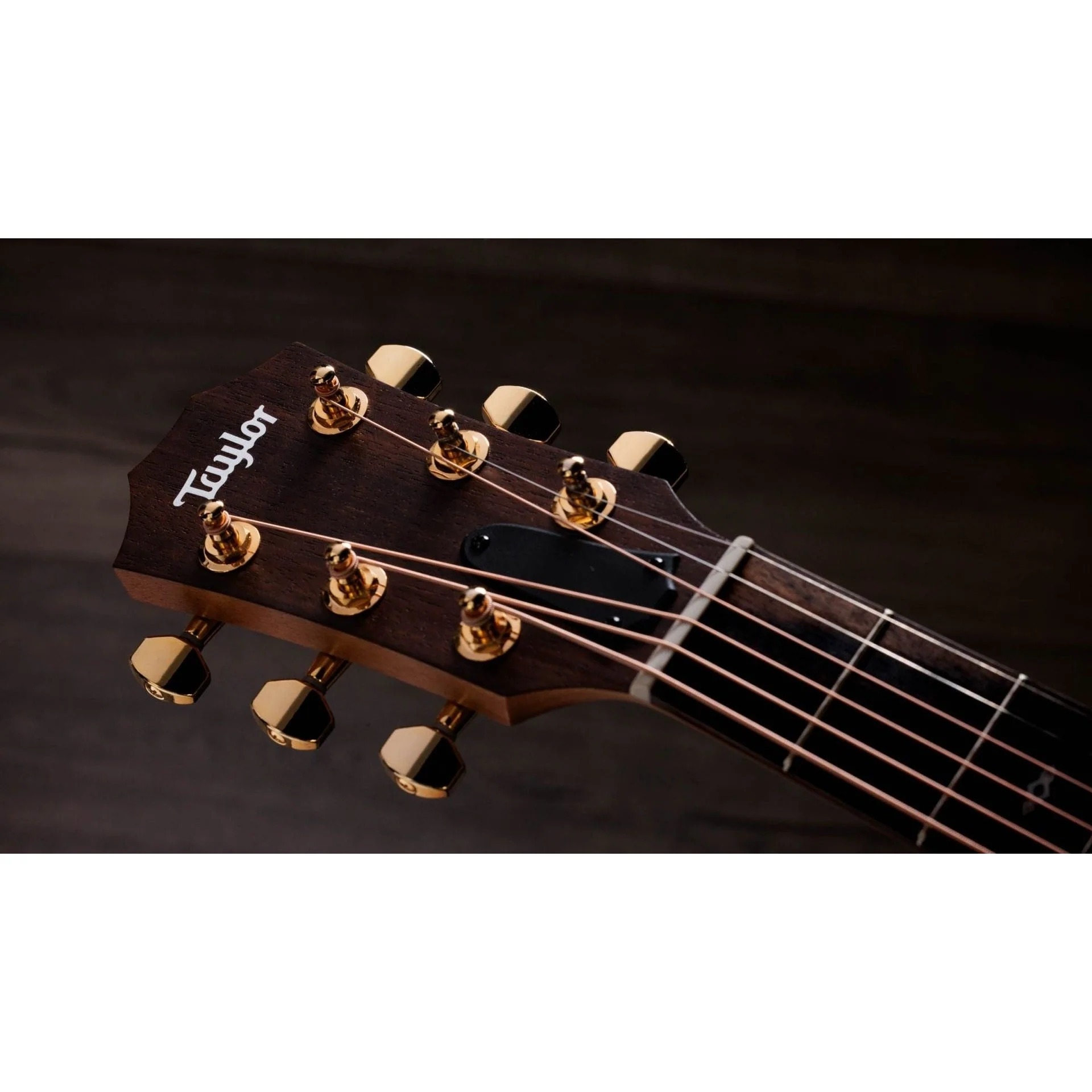Taylor Guitars - Sunset Blvd GS Mini-e Rosewood SEB - Image 5